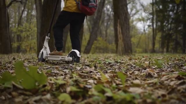 Электросамокат Xiaomi Mijia M365 Подробный обзор смотреть онлайн