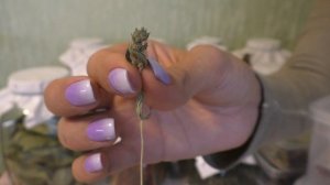 Заготовки на Зиму/Запасы сушеных овощей,фруктов,трав,пастилы/Как и в чем хранить?