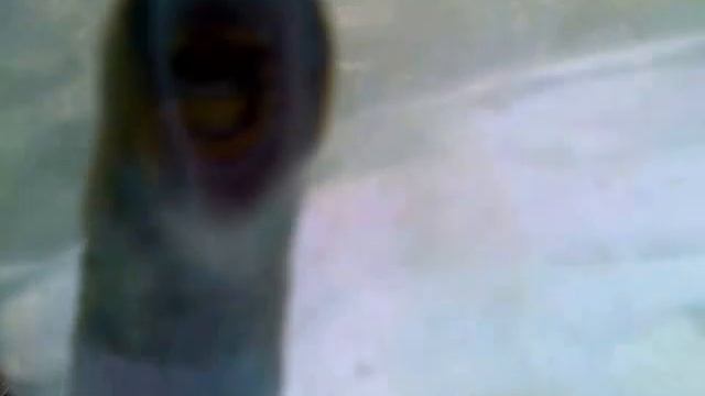 Закарпаття.поймана минога. смотреть онлайн