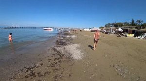 Турция Все включено Пляж и Море The Sense Deluxe 2019