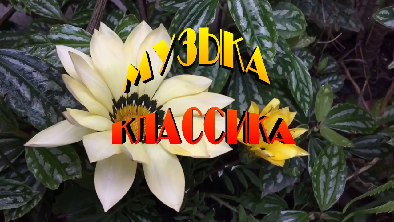 Красивая Музыка Классика