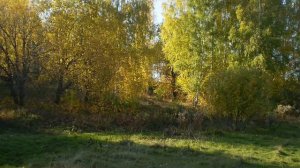 Село КИМ Башкортостан   природа