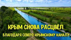 Спасибо России! Северо-Крымский канал ВОЗРАЖДАЕТ Крым? Пустыня становится цветущим садом! Крым вода
