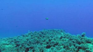 Морской бриз и нежная, спокойная музыка для сна. Sea breeze and gentle, calm music for sleep.