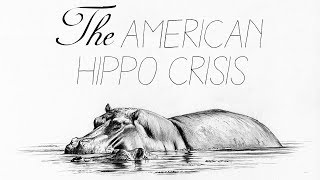 How America Was Almost Overrun By Hippos смотреть онлайн