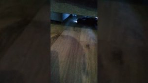 Вертикальный пылесос Tefal X-pert 3.60 Versatile Handstick TY6933WO