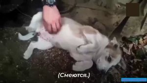 О буднях наших бойцов на передовой.