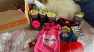 4lapy. Распаковка посылки ? для стбак из 4 лапы.