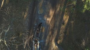 Ты ждешь Лизавета. Военная песня.