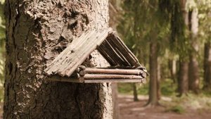 Атмосфера городской дачи в «А101 Всеволожск»