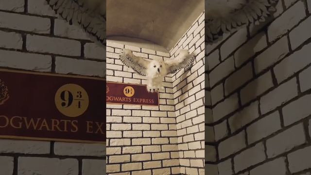 Организация фуршета компанией ART-CATERING для корпоратива компании INSIGHT PEOPLE в г. Ярославль.