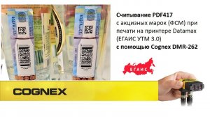 Считывание PDF417  с акцизных марок сканером кодов Cognex DMR 262X