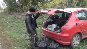 собираем дань по деревне, жизнь в деревне