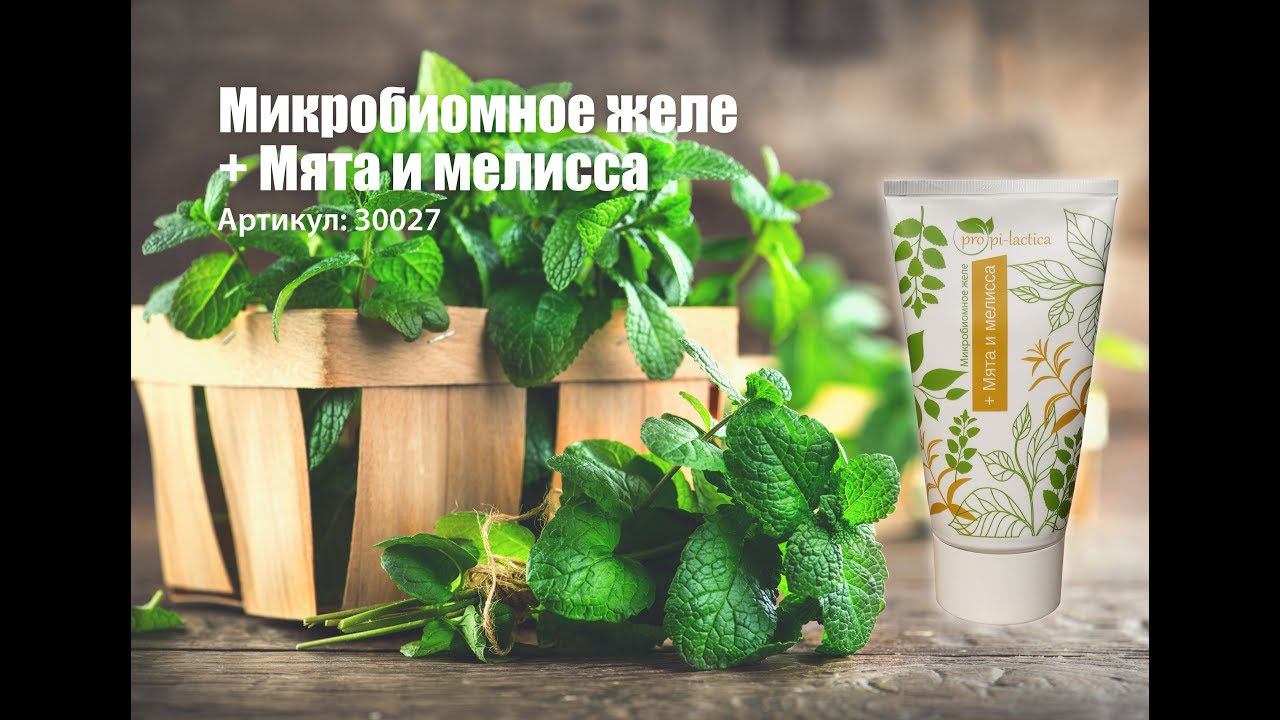 Микробиомное желе + Мята и мелисса