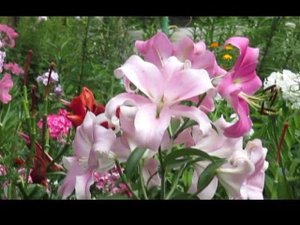 Полёт шмеля  -  поёт  Римский Корсаков