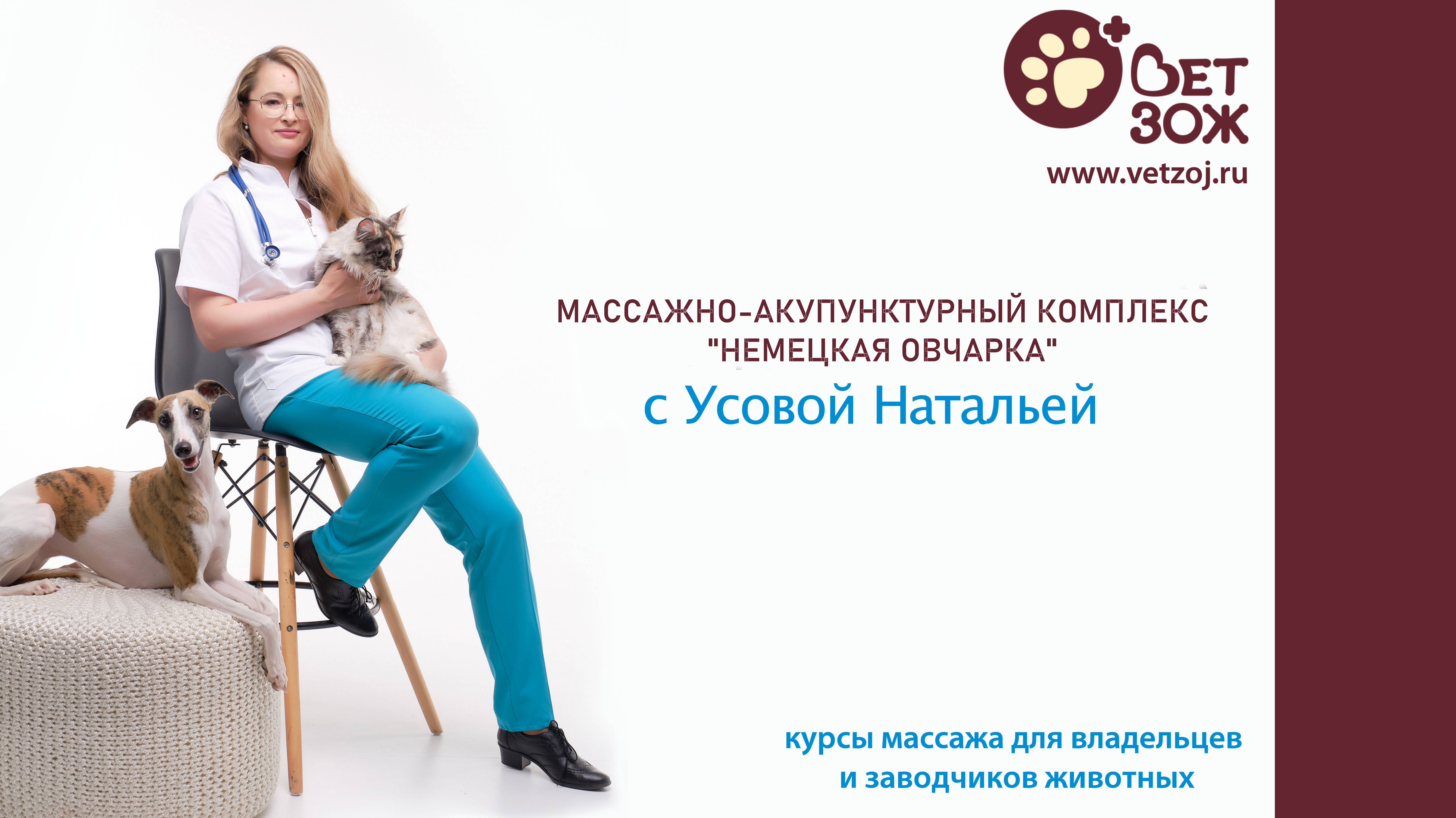 Массажно-акупунктурный комплекс "Немецкая овчарка" смотреть онлайн