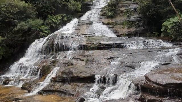 Blue mountains / Голубые горы смотреть онлайн