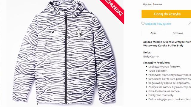 *TOP 5* Najlepsze MARKOWE kurtki zimowe do 200, 300 i 400 PLN! Adidas, Nike, The North Face, Puma смотреть онлайн