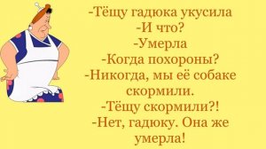 Анекдоты про тёщу: "Ура! Мама приехала"