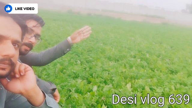 Ramzan ki 21 iftari mubarak 2023