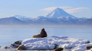 Мой Дальний Восток России..?