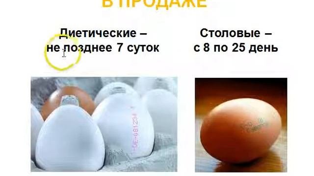 Учебная презентация тема: Яйца (как определить качество)