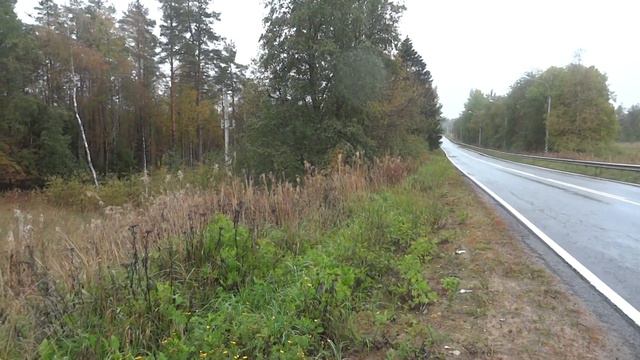 7,2 Га в пос. Ольшаники смотреть онлайн