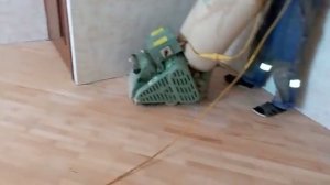 Снятие шпаклевки с букового паркета