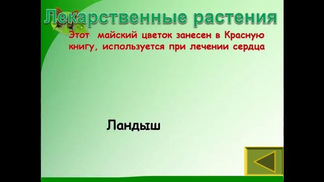 Внеурочная деятельность. 1 класс. 