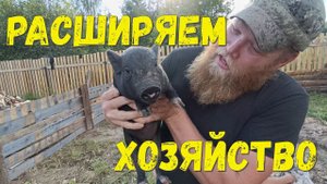 Снова пополнение. Расширяем хозяйство.