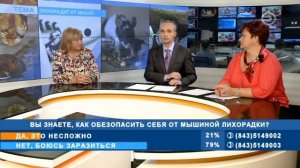 Мышиная Лихорадка, в чем опасность, как избежать?