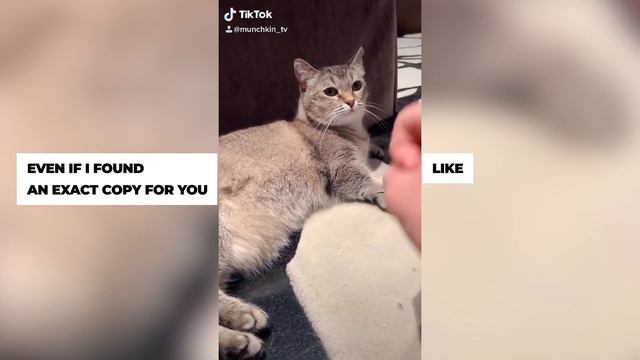 rest in peace Mia смотреть онлайн