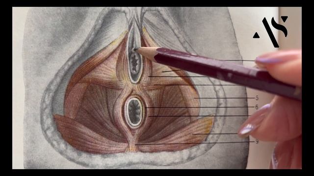 урок с гинекологом кыргызча смотреть онлайн