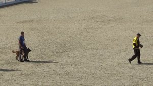 2023 IGP CACT Russia 1 Руслан Дорохов и Эффект Из Команды Азарт (Малинуа) C94