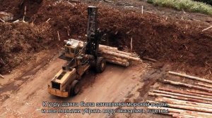 Тайна денежной шахты острова Оук