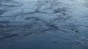 Евгений Потоцкий Река