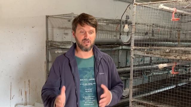 Глисты у бройлера, корм для бройлера, бизнес на бройлере, выращивание бройлера у себя на участке.