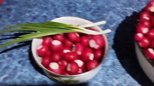 РЕДИС .  ПЕРВАЯ ЗАГОТОВКА НА ЗИМУ.