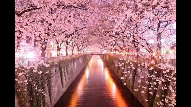 Самые красивые тоннели в мире смотреть онлайн