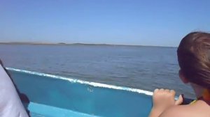 Кучугуры, долина лотосов