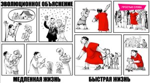 ПСИХОЛОГИЯ: НАРЦИССИЗМ, МАКИАВЕЛЛИЗМ И ПСИХОПАТИЯ.m4v