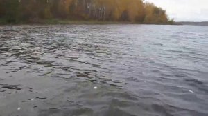 Рыбалка на Волге.    Fishing on the Volga