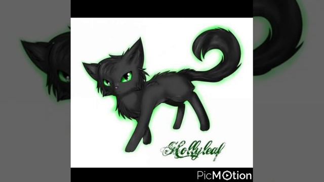 Коты воители Остролистая смотреть онлайн