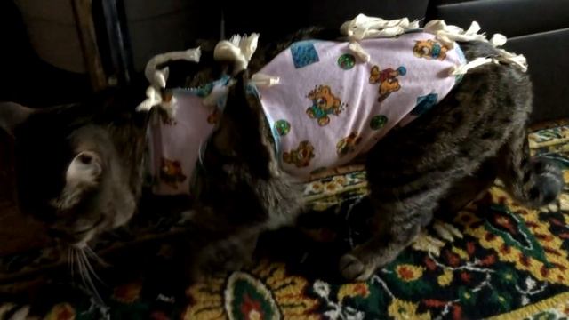 ✔ ДОМАШНИЙ VLOG: Стол и кресло ИКЕА, ПУФ ручной работы, Вытяжка, Мой любимый салат, готовка еды... смотреть онлайн