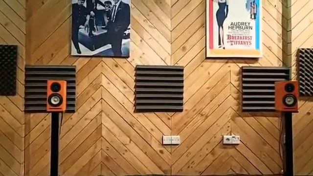 An Afternoon with Line Magnetic LM 219IA 300B 845 Audio Demo & SB Acoustics Micr смотреть онлайн