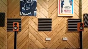 An Afternoon with Line Magnetic LM 219IA 300B 845 Audio Demo & SB Acoustics Micr