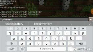 Показываю как написать команду в маенкрафте на версии 1.1.5