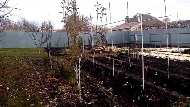 Обрезаю Укрываю мяту МЕЛИССУ на ЗИМУ!!! Мой УХОД!!! 20.10.2021г. смотреть онлайн