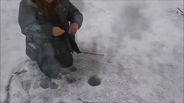 На запуске жара!!!Форель берет на раттлины Eclipse и блёсны Williams!!! Клевое место д Савельево.