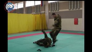 РУССКИЙ РУКОПАШНЫЙ БОЙ СИСТЕМА ВОИН